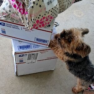 Nwt We Love New Free People